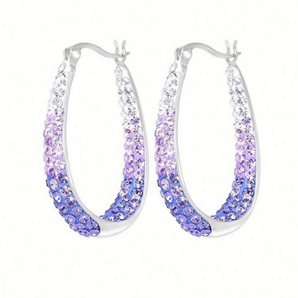 Jewelry - **BUY NOW** Silver and Purple Hoop Earrings
